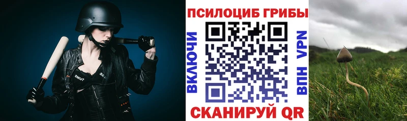 Псилоцибиновые грибы мухоморы  что такое наркотик  Йошкар-Ола 