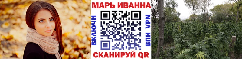 Бошки Шишки марихуана блэк спрут ONION Йошкар-Ола